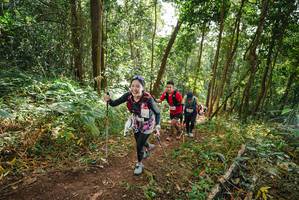 BIB: 
                            <button type="button" onclick="openModal(22466825)" class="btn btn-primary btn-sm float-right btn-popup" data-toggle="modal" data-target=".modal-high-quality">
                        <i class="fas fa-shopping-cart"></i> Add to Cart
                    </button>
                                            <button type="button" onclick="isThisMe(22466825, true)" class="btn btn-success btn-sm float-right btn-popup btn-isme hidden" data-toggle="tooltip" data-placement="bottom" title="นี่คือรูปของคุณใช่ไหม คลิกที่นี่เพื่อเอาเข้าอัลบั้ม">
                        <i class="fas fa-plus"></i> Add to album
                    </button>
                    <button type="button" onclick="isThisMe(22466825, false)" class="btn btn-warning btn-sm float-right btn-popup btn-isnotme hidden">
                        <i class="fas fa-ban"></i> Remove from album
                    </button>